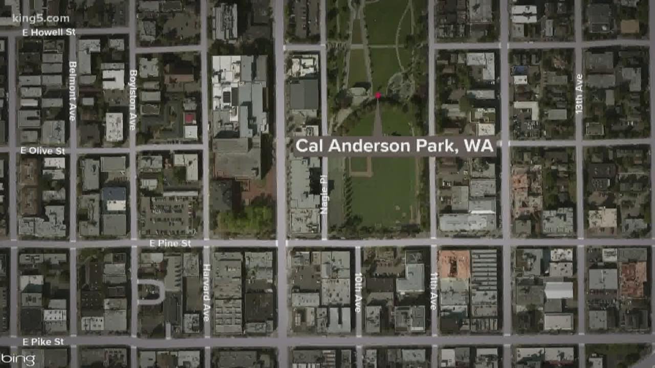 Homicide investigation after woman's death at Seattle's Cal Anderson Park
