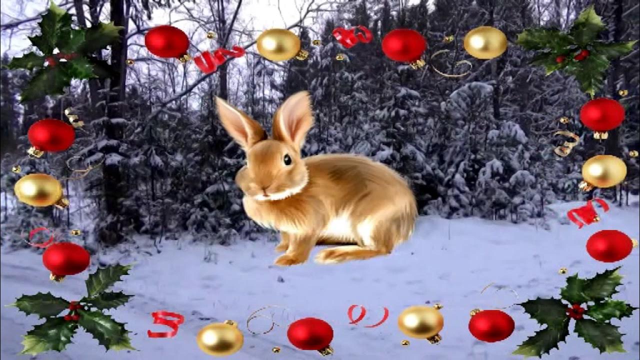 Я тебя в новогоднем лесу слушать. Стихотворение лагздынь человечки снеговые. Звезды новый год развесил на веселой елке картинка. Рождество природа. Футажи сказочный лес с подсветкой.