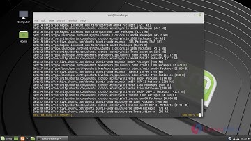 How to Install Openshot Video Editor On Linuxmint 19