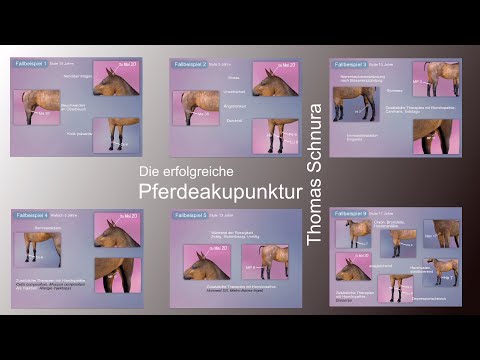 Video: Nierenentzündung Bei Pferden