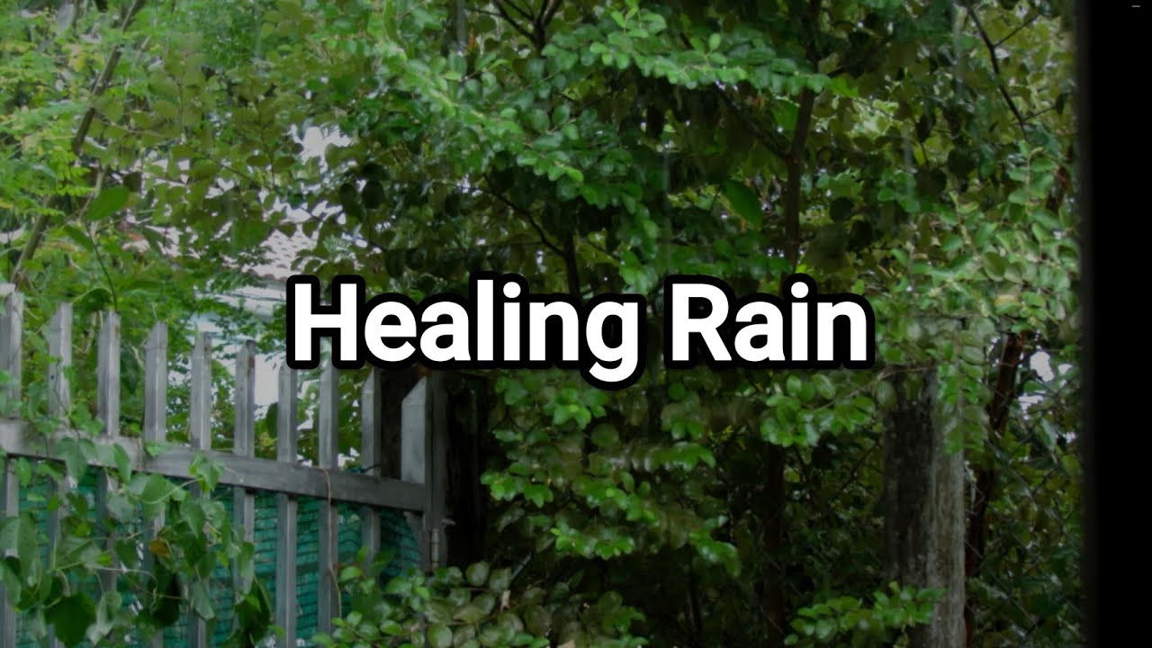 Soothing Natural Rain 🌧️ASMR for Sleep & Stress Relief