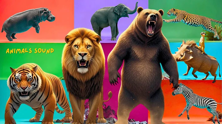 Safari Animal Sounds Song | Nursery Rhyme for Kids - Learn Animal Names and Sounds