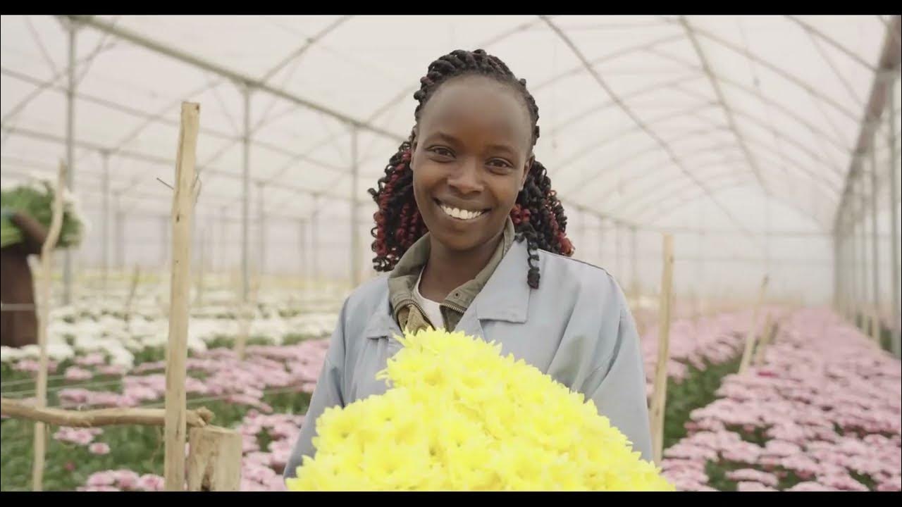 Flamingo Horticulture – 2021 Expansions - YouTube