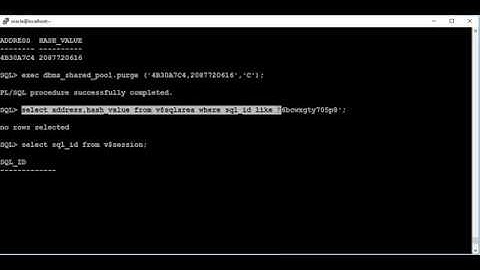 Flush particular SQL Statement from Shared Pool