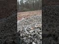 First scoop of gravel on the mini skid #alabama #skidsteer #country #agt #fyp