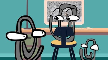 Clippys Short: World Curlew Day