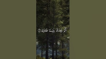 سورة الضحى 🥰 #المصحف #قرآن #اكسبلور