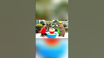 Capybara cùng anh giúp bà tắm cho cu shin và cái kết #capybara
