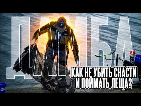 THE DAM: How to not destroy your gear and catch bream? Main rules #feeder