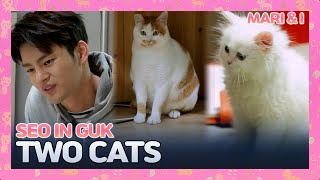 MARI&I Seo In Guk With Two Cats