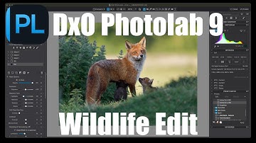 DxO Photolab 9 full wildlife edit