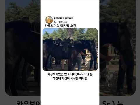 카우보이의 마지막 소원 thumbnail