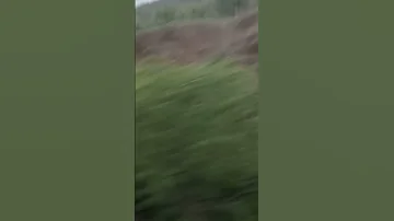 ابشر يا رايح لرسول الله المنشد احمد حسن الاقصري ريتال احمد انس سيد اشترك في القناه ليصلك كل جديد 