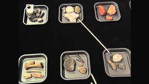 Geological Maps - Geological Time (3/6)
