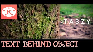 Text behind Object on kinemaster Tagalog tutorials/basic editing