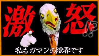 【謎のメッセージ】「この怒りは5.4両国で”アイツ”にぶつける」正体不明の動物マスクマン。お前は一体、何者なんだ？5.4両国国技館「WRESTLE MAGIC 2024」チケット&PPV好評発売中！
