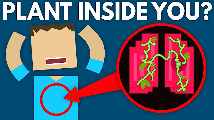 Could A Plant Grow Inside You?