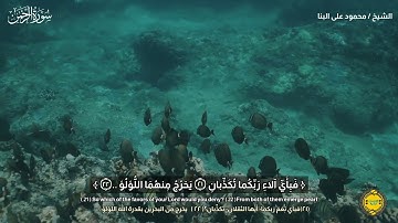 يَخرُجُ مِنهُمَا اللُّؤلُؤُ .. || ابداع وحنان رهيب من سورة الرحمن || الشيخ محمود على البنا ♡