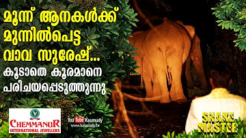 Vava Suresh confronts three elephants | Snakemaster | EP 412 | Kaumudy TV