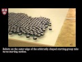 Programmable self-assembly in a thousand-robot swarm