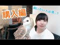【ざっとお話し】フクロウについて~購入編~