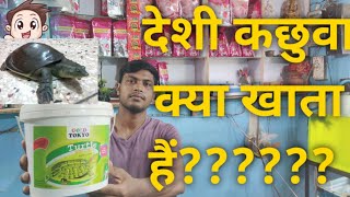 देशी कछुआ क्या खाता है | Desi Kachua kya khata hai | kachua kya khata hai | Turtle Food