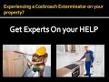 Panama city pest control pros  cockroach exterminator service in panama city fl