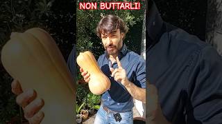 ZUCCHE, AD OTTOBRE I SEMI NON BUTTARLI E FAI COSI, IDEA GENIALE #fiori  #garden #youtubevideo #viral