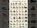animals name| animals name in english #animals #education #shortsfeed #bihar #english