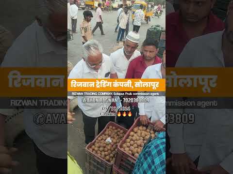 APMC Solapur market yard