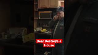 Bear Destroyed a House