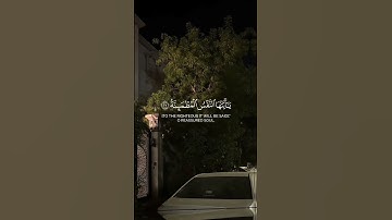 يقول يا ليتني قدمت لحياتي || هاني_الرفاعي سورة الفجر