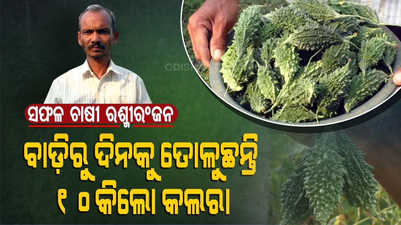Special Story | Successful Story Of Bitter Gourd Farmer In Boudh