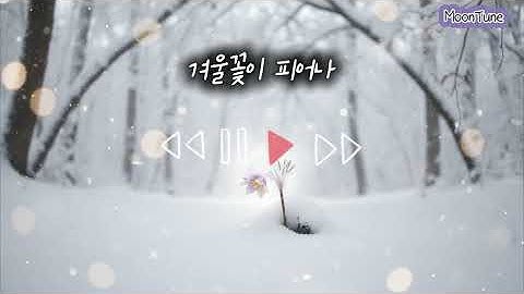🎧 겨울꽃이 피어나 🌿 I K-POP I 감성음악 I AI음악 I 계속계속 듣고 싶은 OST 재질 감성 노래🎵