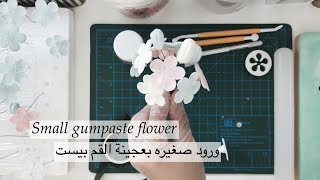 ساره كيك  / طريقة إعداد ورود صغيره بعجينة القم بيست _ how to make small gumpaste flowers