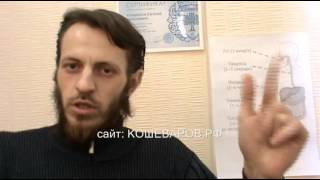 Причины ожирения. Основное правило питания для похудения и диет Причины ожирения. Основное правило питания для похудения и диет