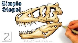 Easy Way to Draw a T. Rex Fossil Skull Using Simple Shapes!