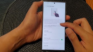 Galaxy S24/S24+/Ultra: How to Set the Default Live Translate Other Person