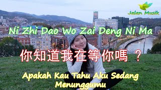 Ni Zhi Dao Wo Zai Deng Ni Ma 你知道我在等你嗎 (Apakah Kau Tahu Aku Sedang Menunggumu) Lyrics Video Lirik
