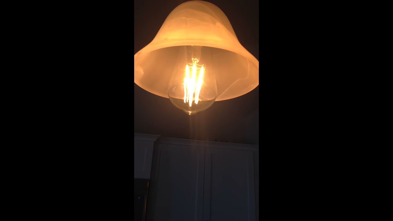6W LED Squirrel Cage Filament Bulb