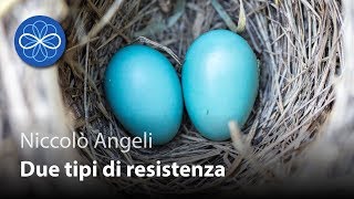 Due tipi di resistenza - Niccolò Angeli