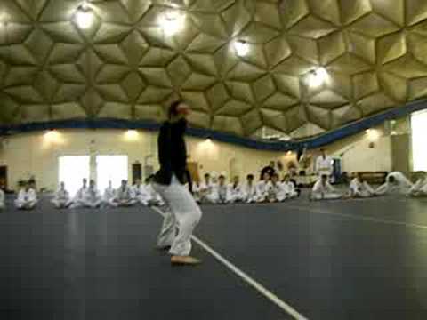 NDMAI Spring 08 Kata Chips