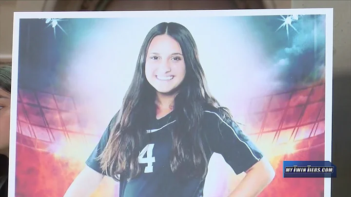 Lawmakers looking to bring Alyssa's Law to New York