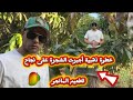 اللحظة اللي أثبتت إن التطعيم نجح ✅ شوف بنفسك نتيجة التطعيم اللي الكل مستنيها🌿