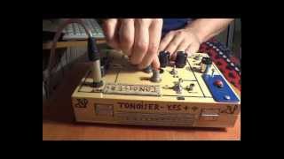 Tonoizer Y F S+  ( homemade synthesizer)