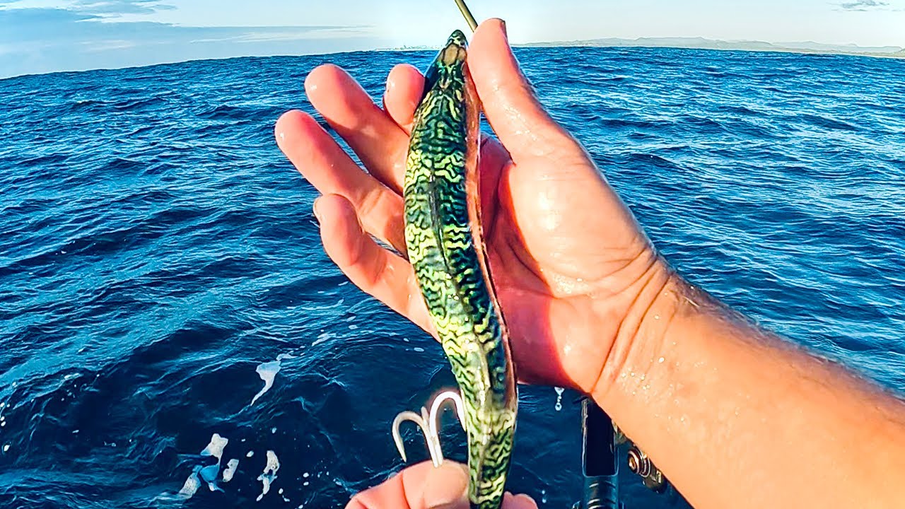 Canning Smoked Alaskan Hooligan, The Best Bait You Ever Ate with Sourdough