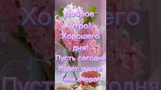 С ДОБРЫМ УТРОМ🌷ХОРОШЕГО ДНЯ #short #shorts #shortvideo #shortsvideo