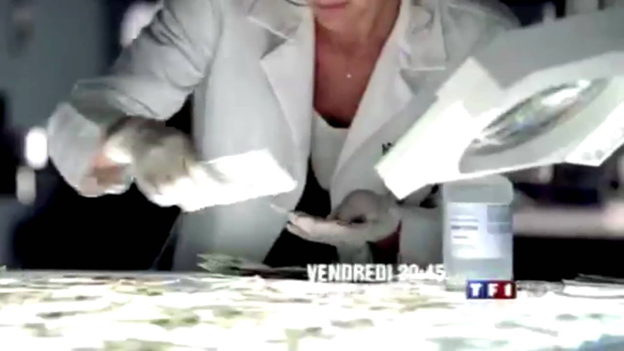 Lilouvoice Productions / OVH : Billboard Bande Annonce 