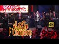 Los Flamers  -  Flamazo Navideño en vivo 4K