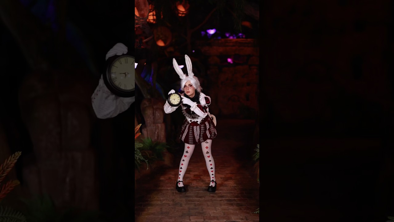 All these Alice in Wonderland costumes were made by me, except Cheshire’s! 🧵🪡 📍​⁠: @dreamwalkpark